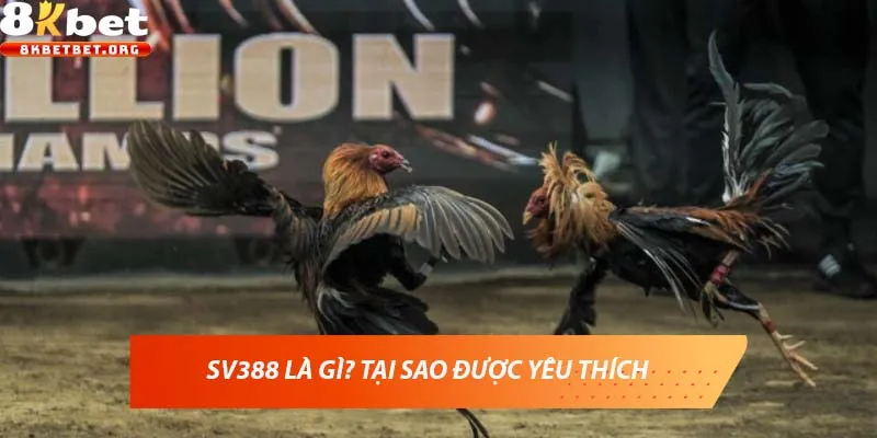 SV388 là gì? Tại sao được yêu thích