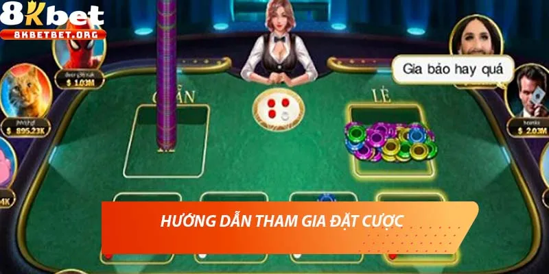 Hướng dẫn tham gia đặt cược