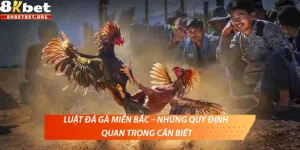 Luật đá gà miền Bắc – Những quy định quan trọng cần biết