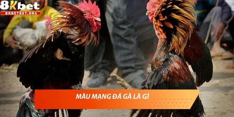 Màu mạng đá gà là gì