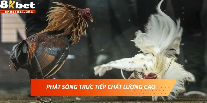 Phát sóng trực tiếp chất lượng cao