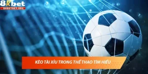 Kèo tài xỉu trong thể thao – Hướng dẫn chi tiết cho người mới